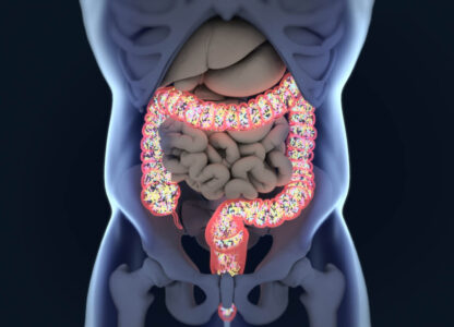 How to Nourish Gut Bacteria