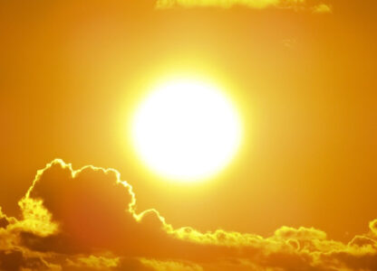 Vitamin D – All it’s cracked up to be?