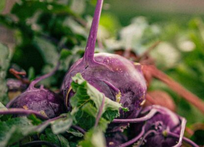 6 Anti-Inflammatory Foods to Eat Regularly