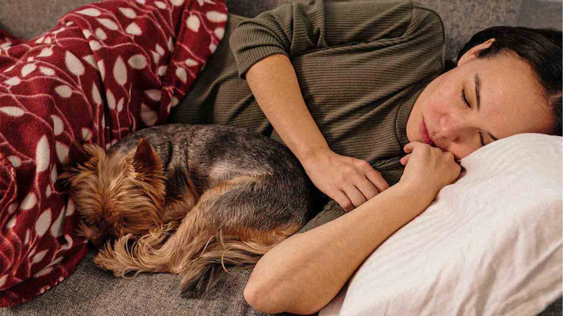 woman sleeping on the couch with her dog