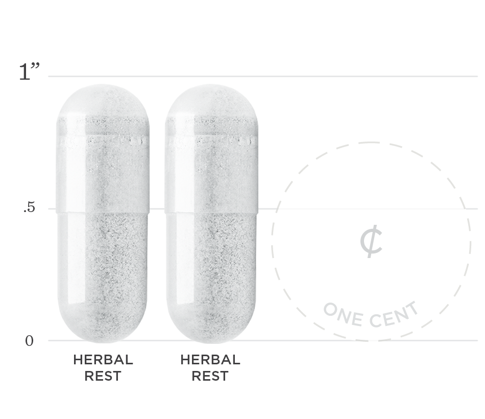 Sound-Slumber-Graph-Phase-3